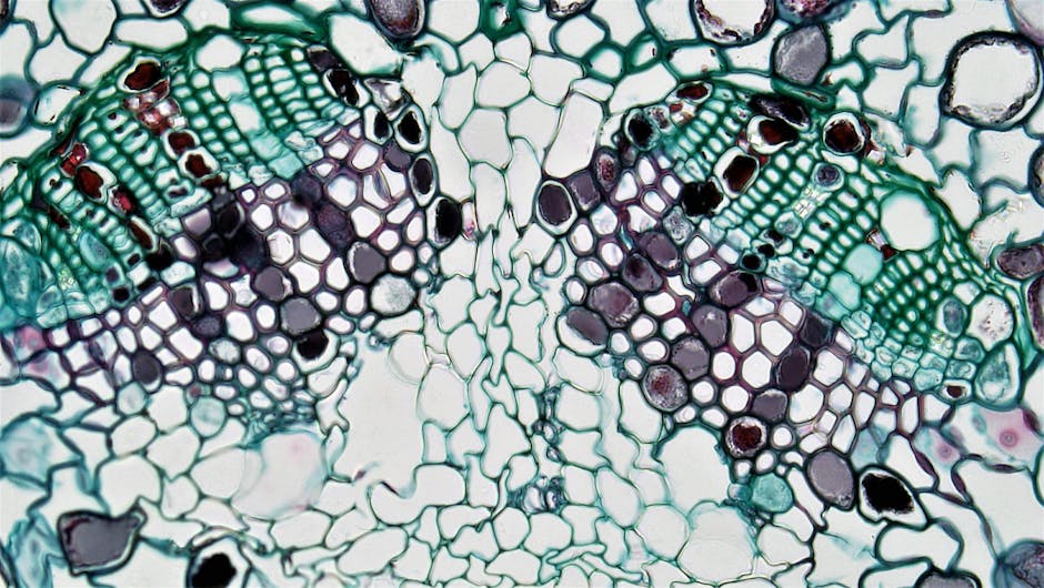 Robert May's Simple Equation Reveals Chaos of Biology 50 Years On - VirentaNews