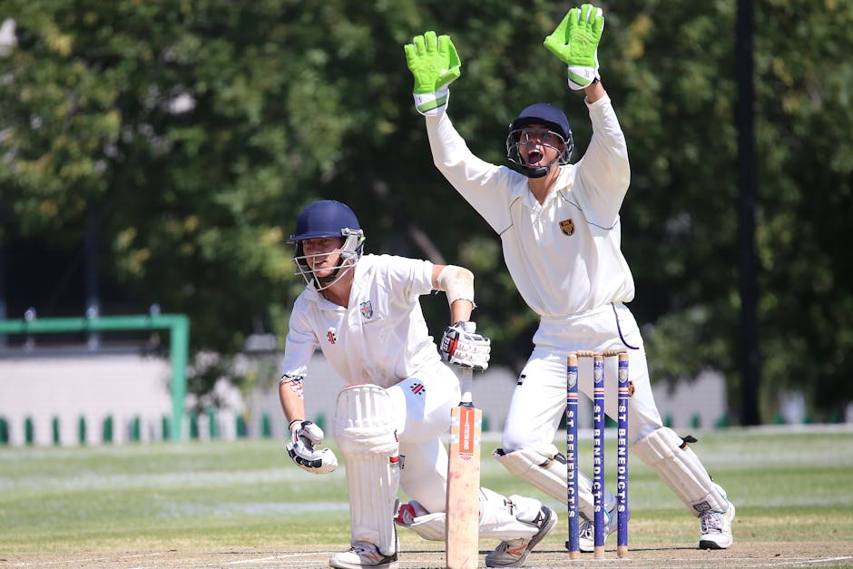 Robinson's Triple-Wicket Maiden Revives England After New Zealand Skittle Hosts - VirentaNews