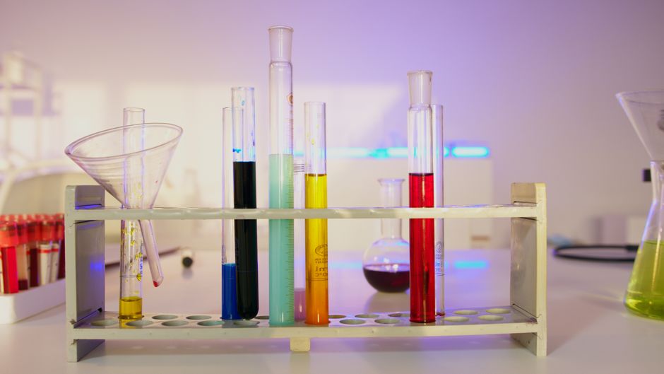 Science Photography Prize Reveals 12 Finalists - VirentaNews