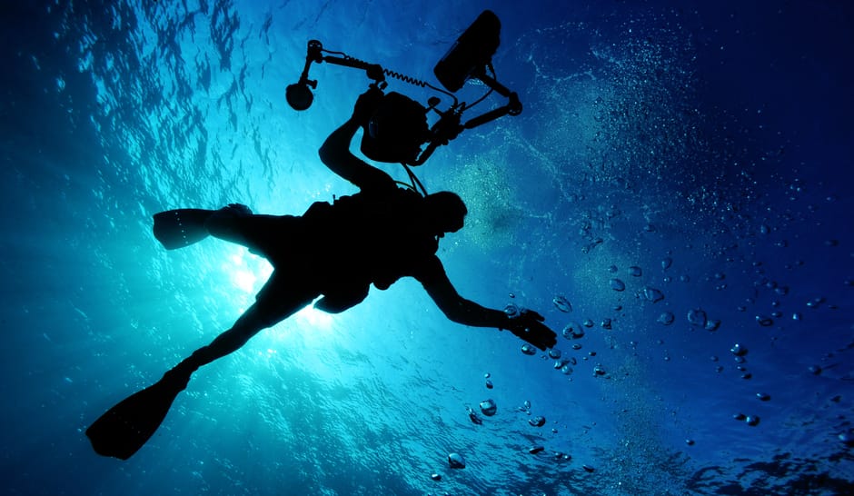Trump Administration Reveals Plan to Dismantle Ocean Network - VirentaNews