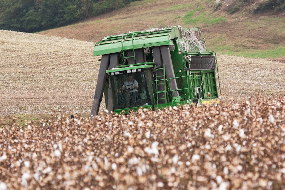Trump's Cotton Bailout Reveals Tariff Strategy Flaws - VirentaNews