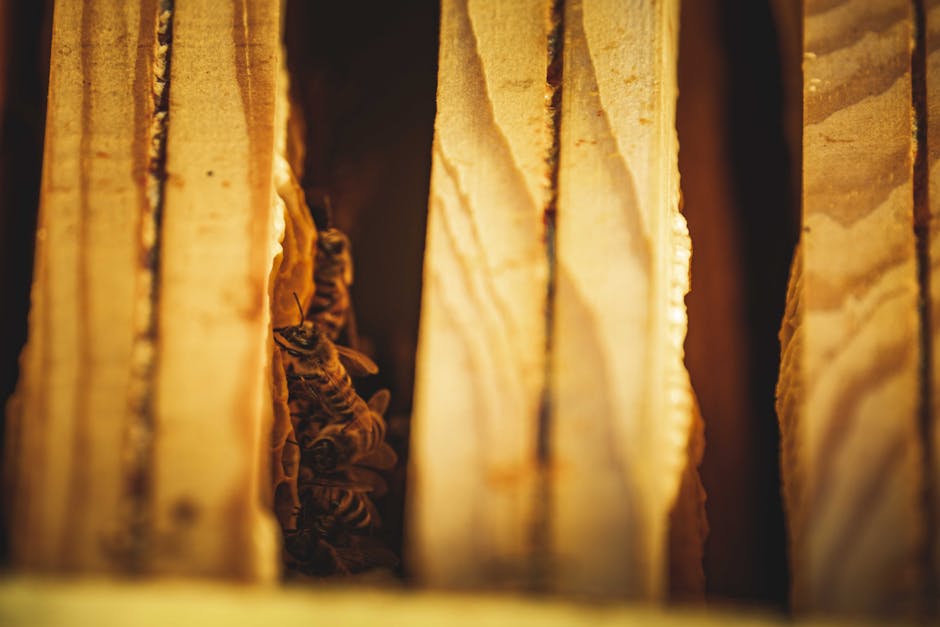 What is Consciousness: Bees, ChatGPT, and the Latest Research