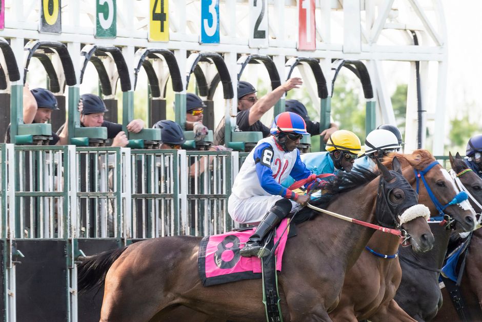 Why Bet on Horse Racing Online in 2026 - VirentaNews