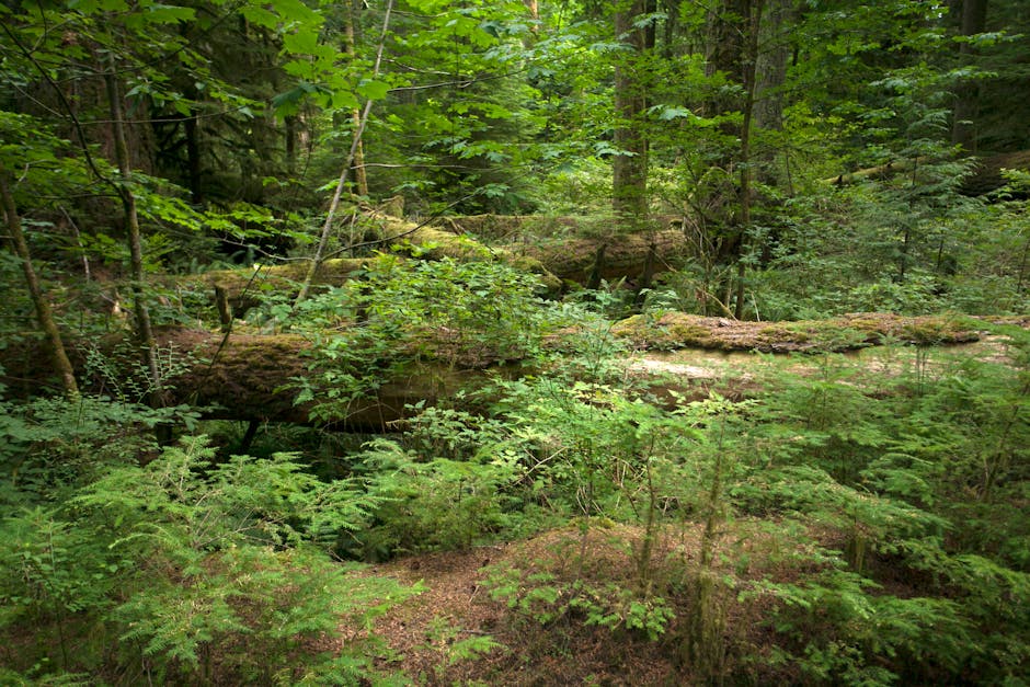Why Biodiversity Matters for National Creditworthiness