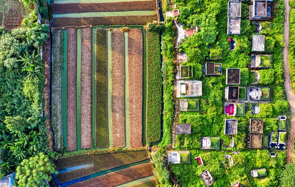 Why Cemetery Plastics Are Under Fire - VirentaNews