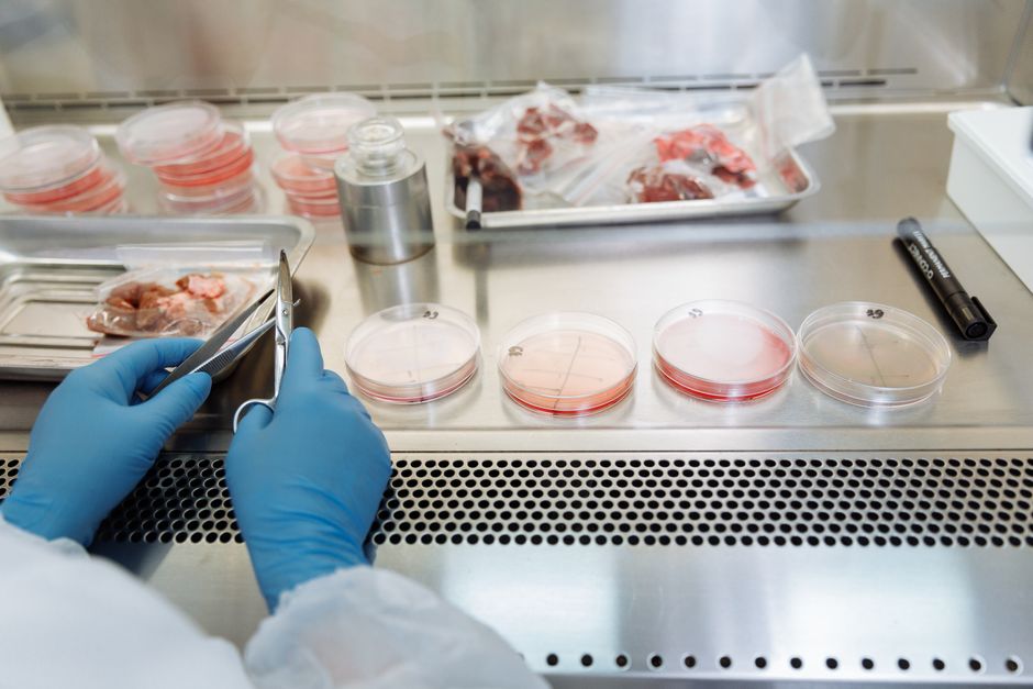 Why Congo Needs Better Ebola Tests - VirentaNews
