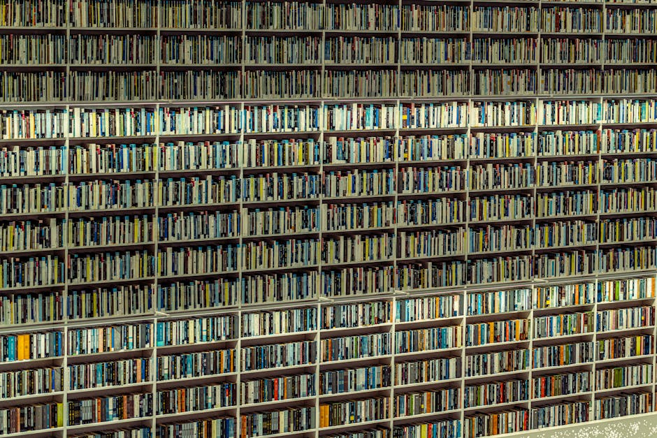 Why CQL’s Categorical Databases Matter