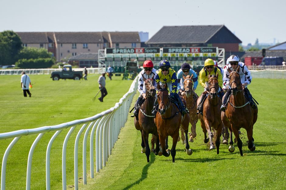 Why Creative Queen Matters at Newbury - VirentaNews