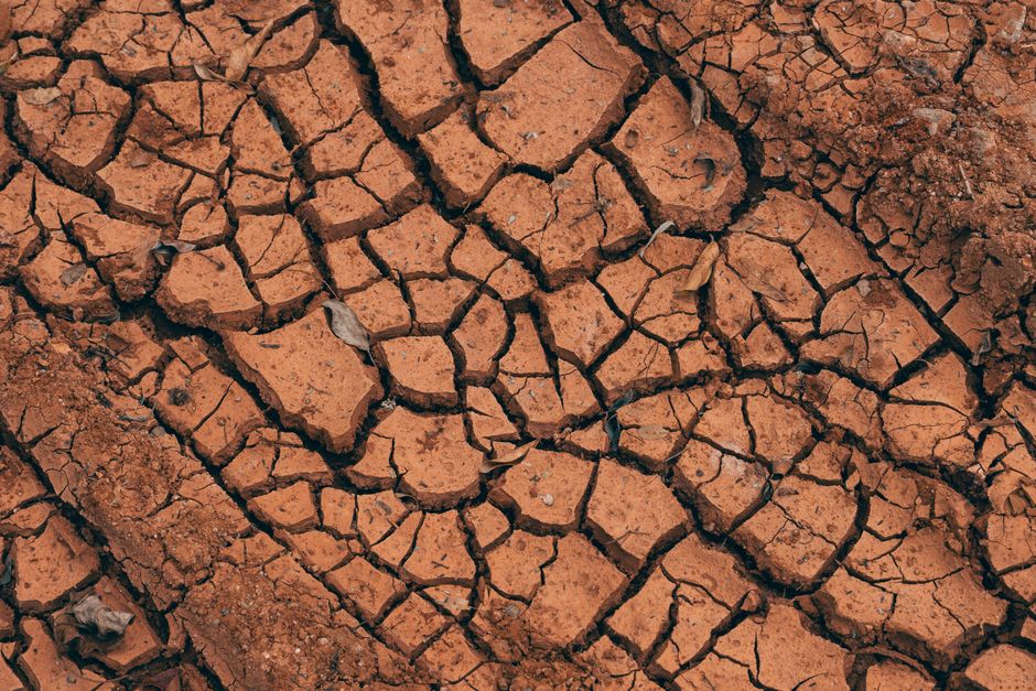 Why El Niño Matters to Global Food Security - VirentaNews