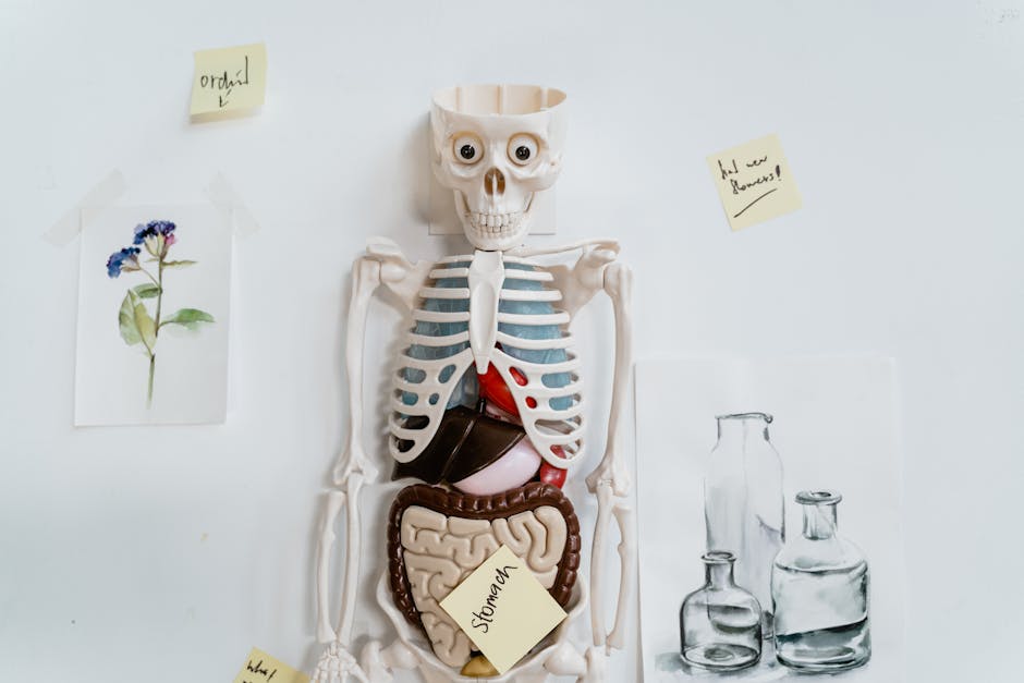 Why Endocannabinoid System Matters in Acute Pancreatitis Treatment