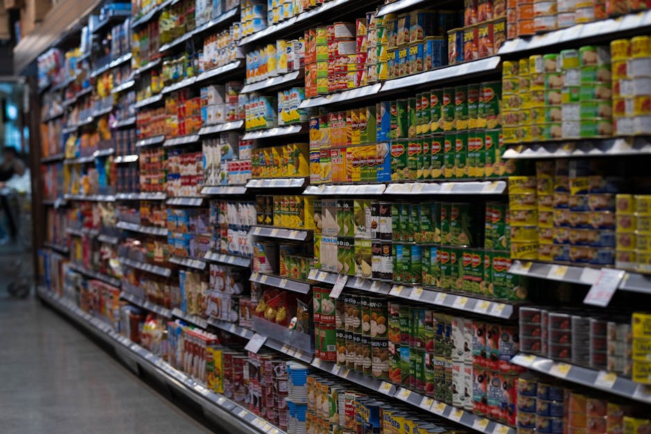 Why Lebanon’s Social Grocery Matters