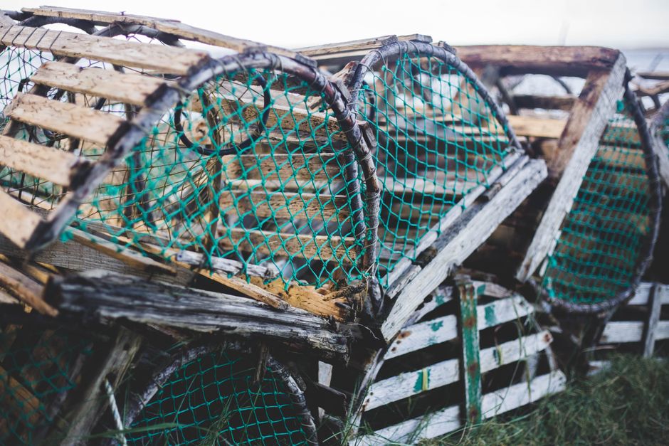 Why Lobster Fishing Needs Escape Hatches