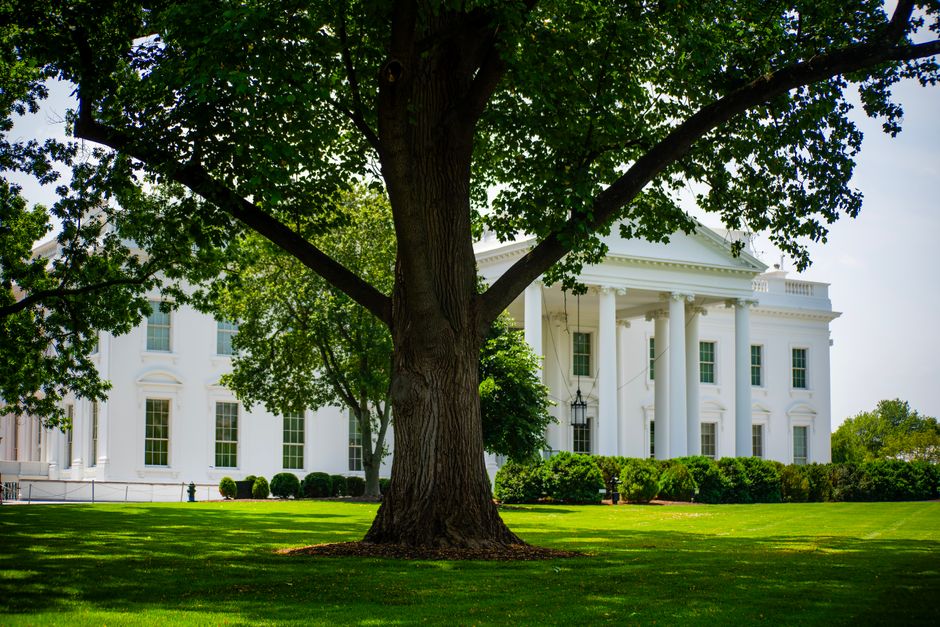 Why Sam Bankman-Fried Wants a Trump Pardon - VirentaNews