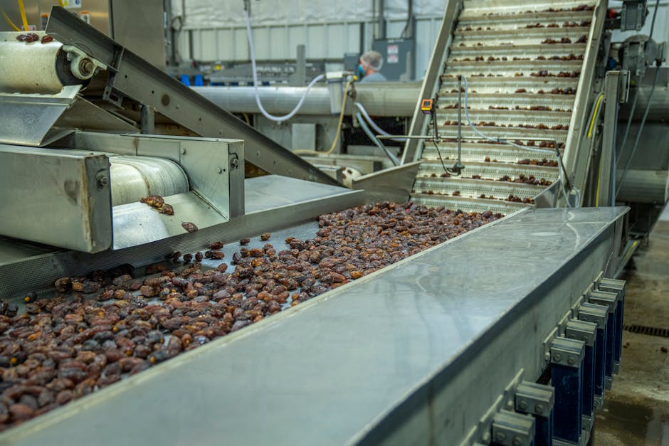 Why Stricter Regulations on Ultra-Processed Foods Are Needed - VirentaNews