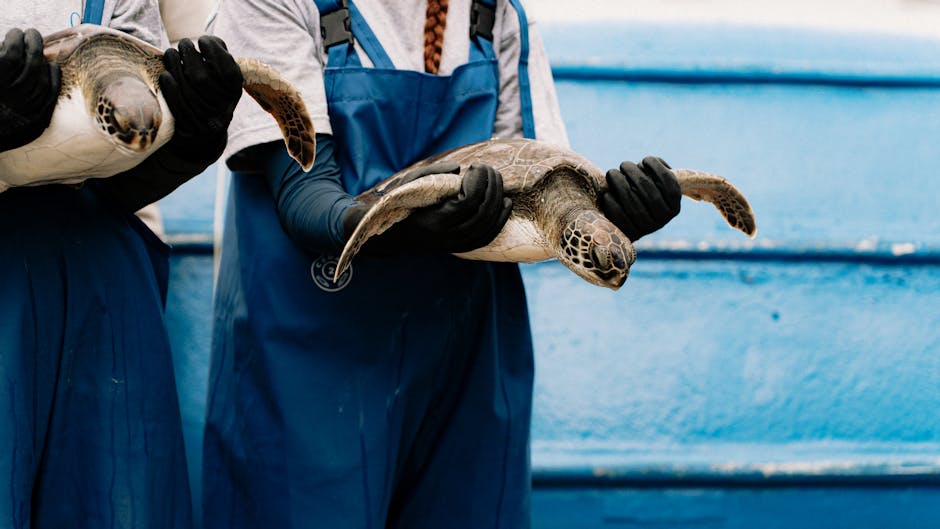 Why US Ocean Programme Cuts Matter