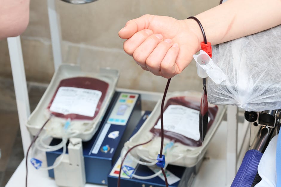Why Xenotransplantation Matters for Human Health