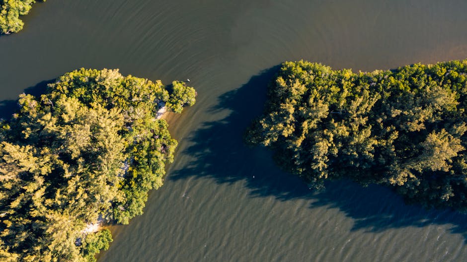 Yann Arthus-Bertrand Reveals Stunning Freshwater Images from Above