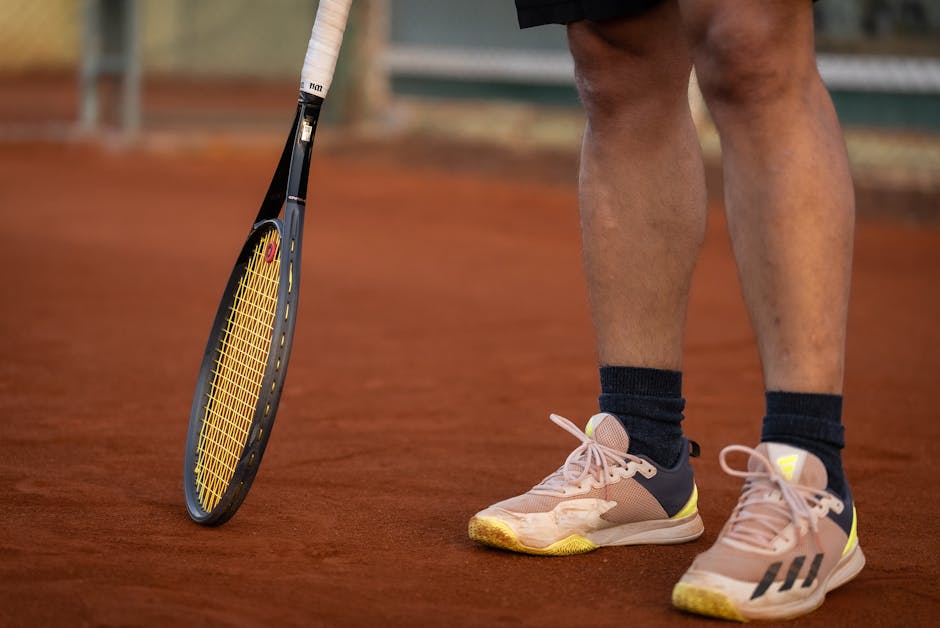 Zverev Seeks Title in French Open Final Against Cobolli