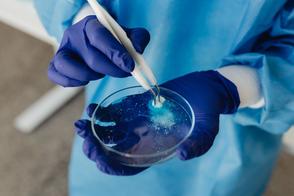 KAIST's Spray-On Powder Stops Life-Threatening Bleeding in 1 Second - VirentaNews