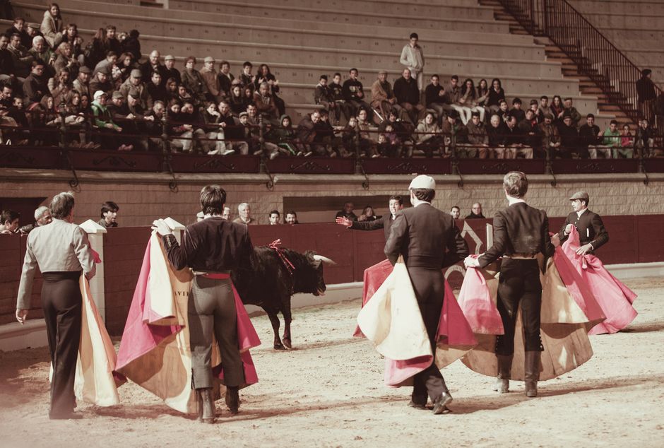 Why Activists Are Fighting Against Bullfighting