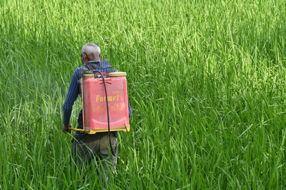 Why Trump's Pesticide Order Matters for Public Health - VirentaNews